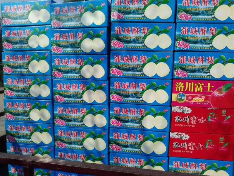 蒲城酥梨300~350g纸箱