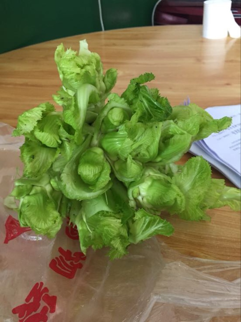 儿菜