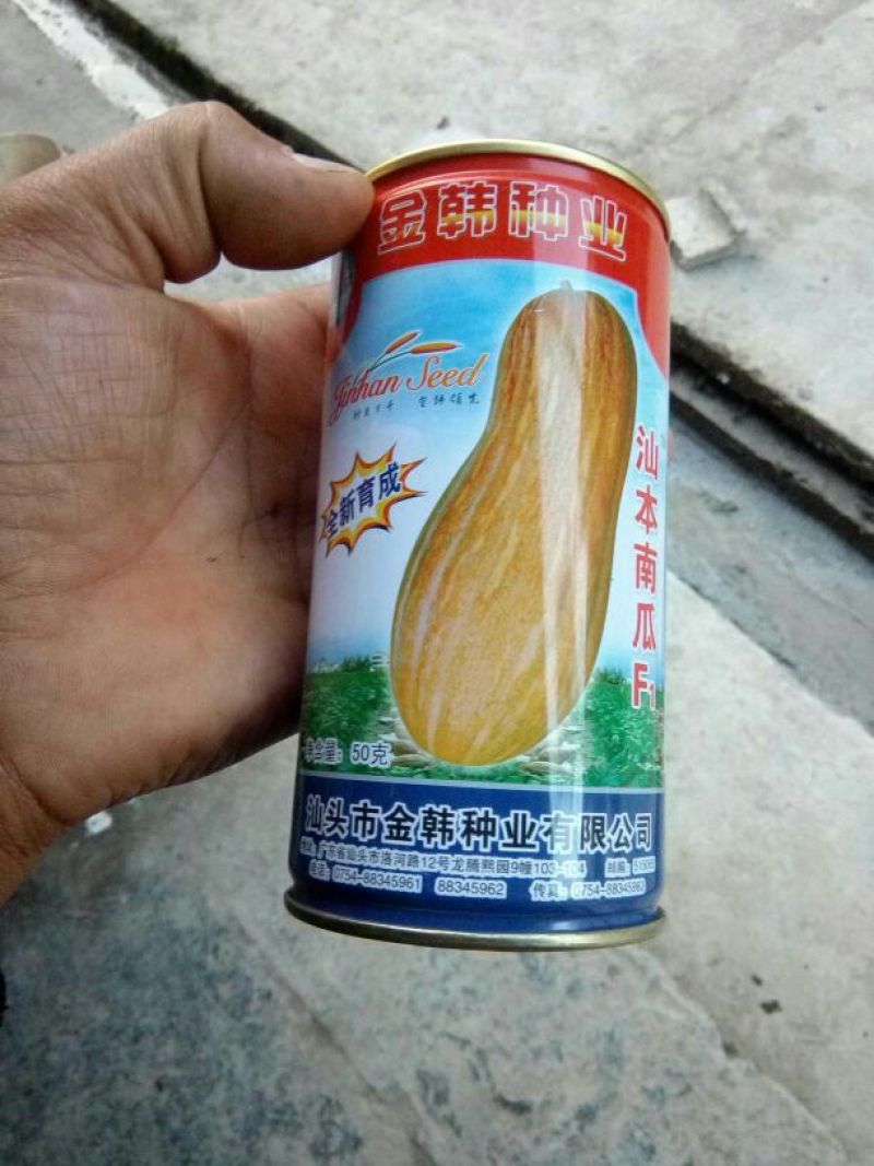 金韩蜜本南瓜4~5斤以上长条形