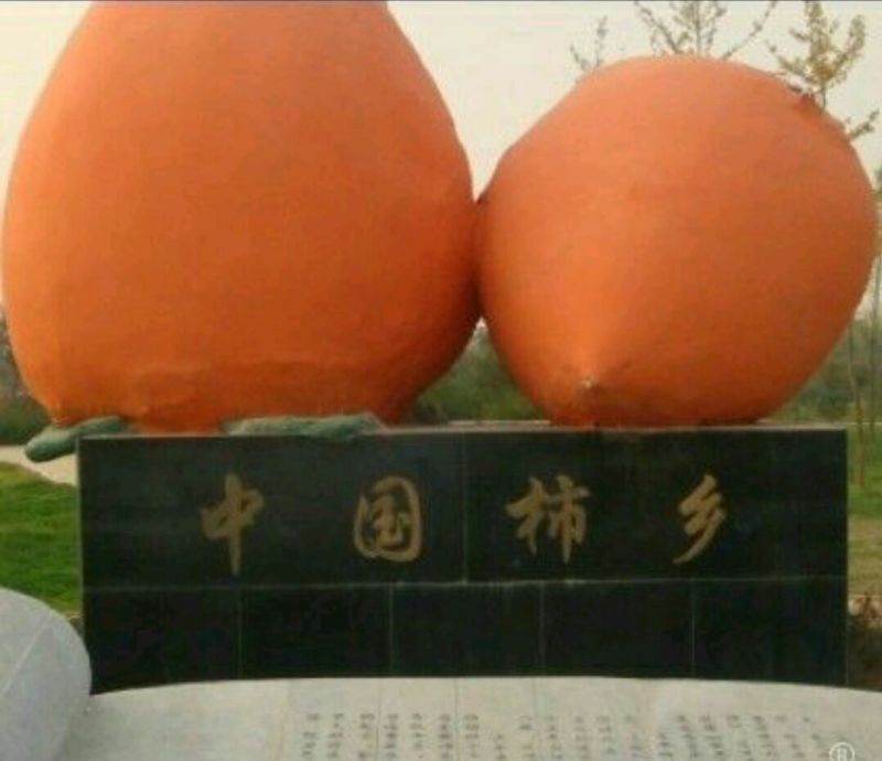 柿饼2~2.5两