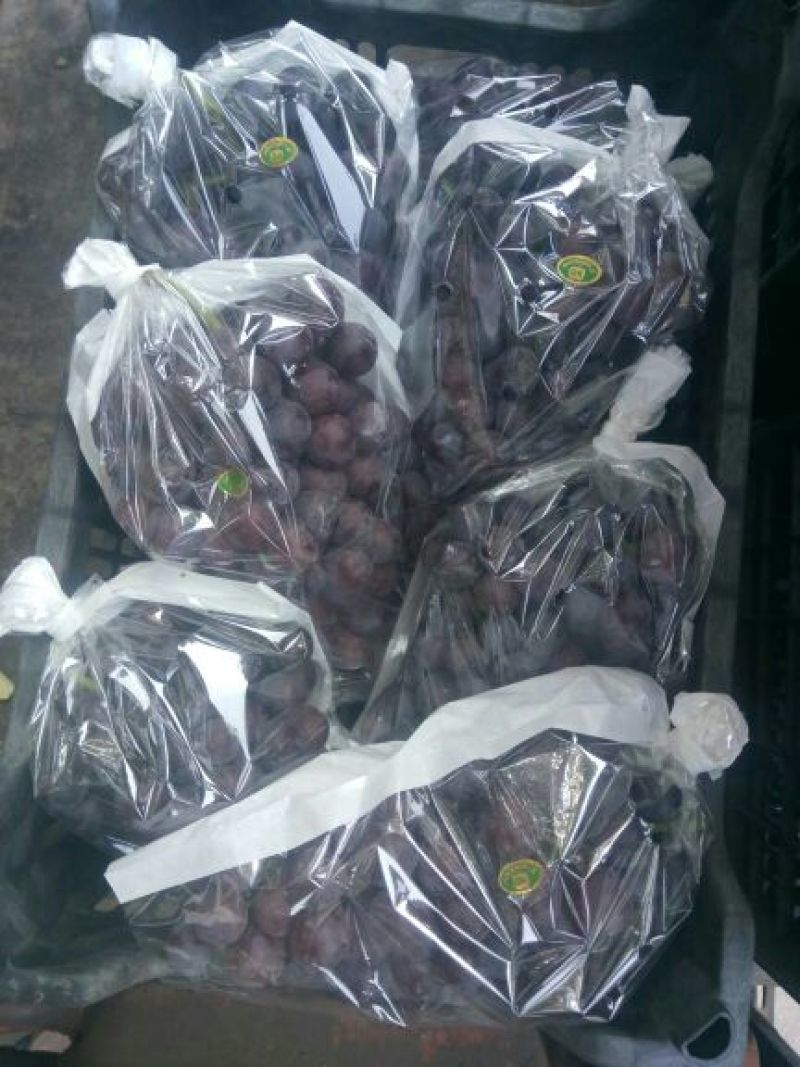 户太八号葡萄批发，陕西优质户太八号葡萄，户太八号葡萄价格
