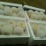 梨300~350g纸袋