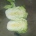 大白菜4~6斤