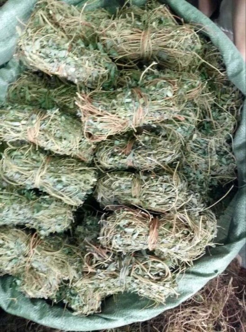 鸡骨草野生鸡骨草，带叶子。