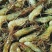 河虾冰鲜虾26~30只/kg