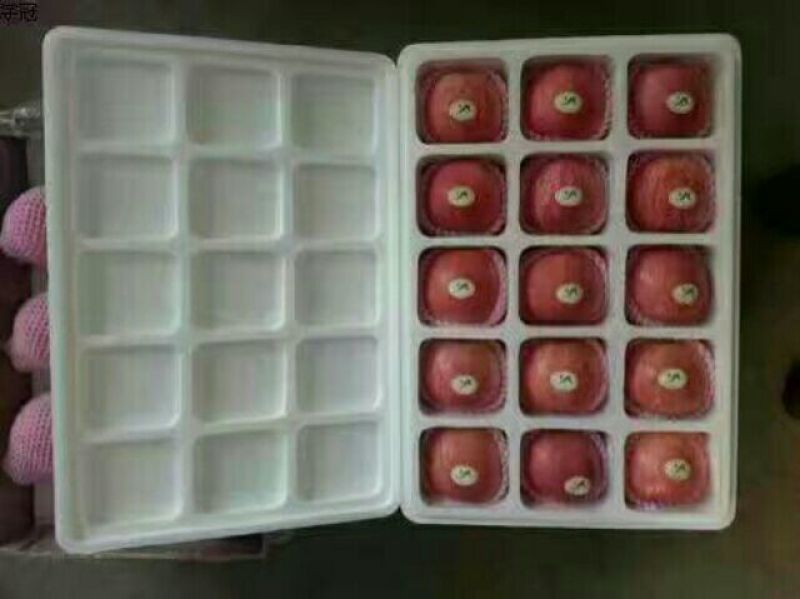 栖霞红富士苹果大量出售
