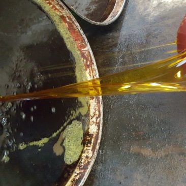 压榨菜籽油四级