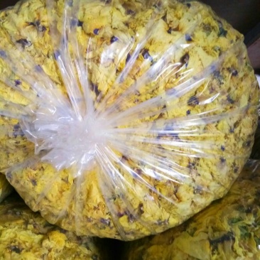 黄蜀葵花
