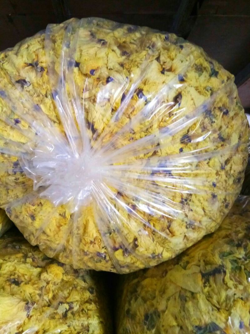 黄蜀葵花