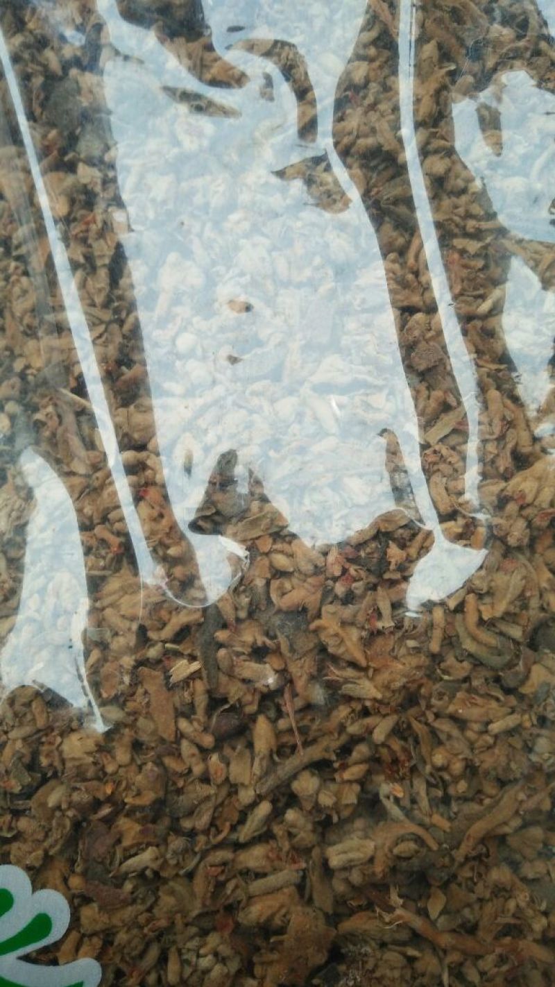 密蒙花各种中药材批发质量保证产地直销