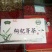 枸杞叶茶特级