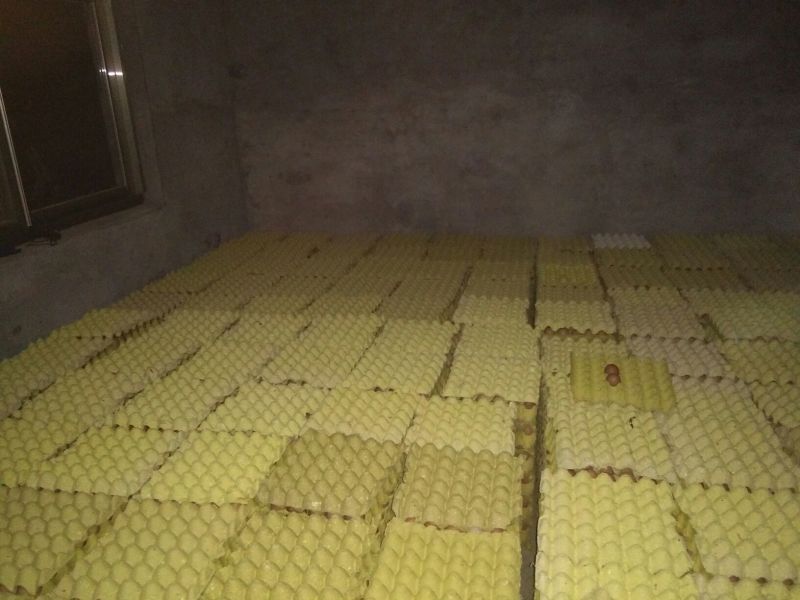 红蛋食用50~60g