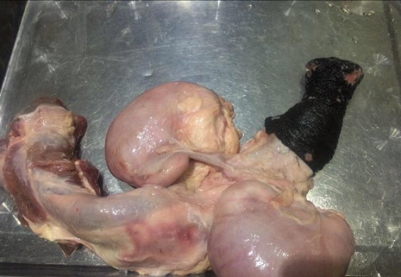 驴肉河间府曹氏驴肉保真