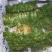 豆瓣菜