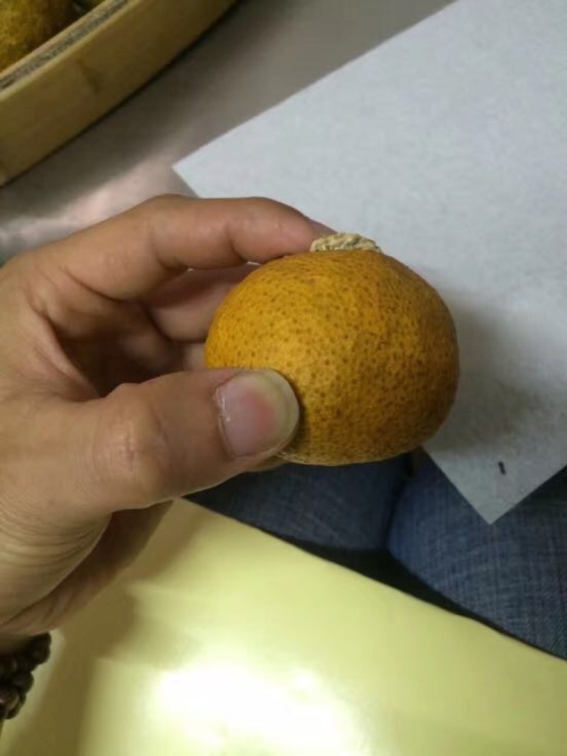 柑普茶