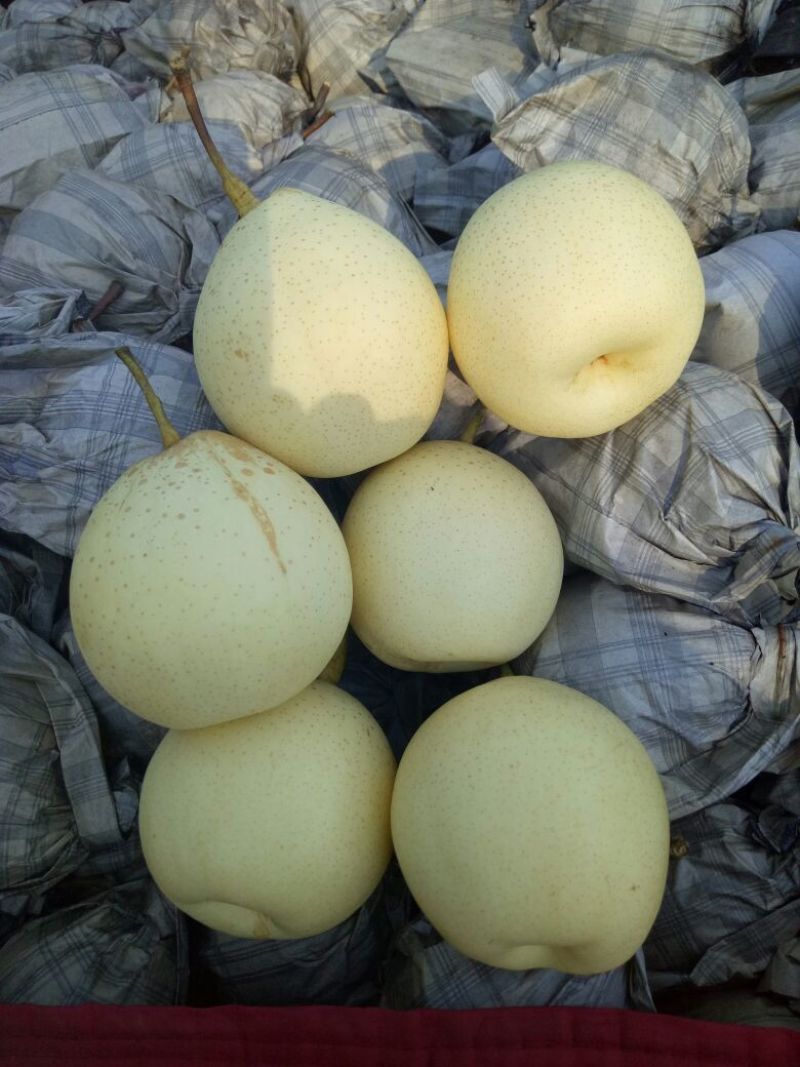 鸭梨纸箱