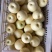 皇冠梨250~300g纸箱