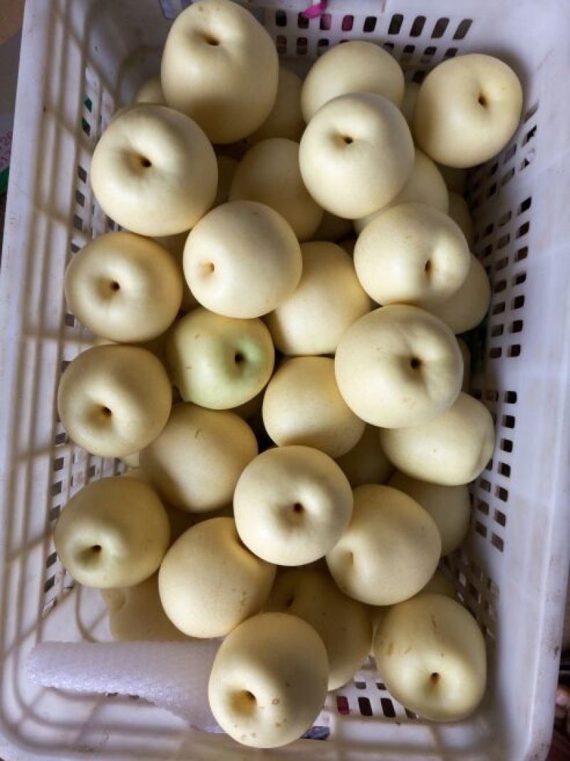 皇冠梨250~300g纸箱