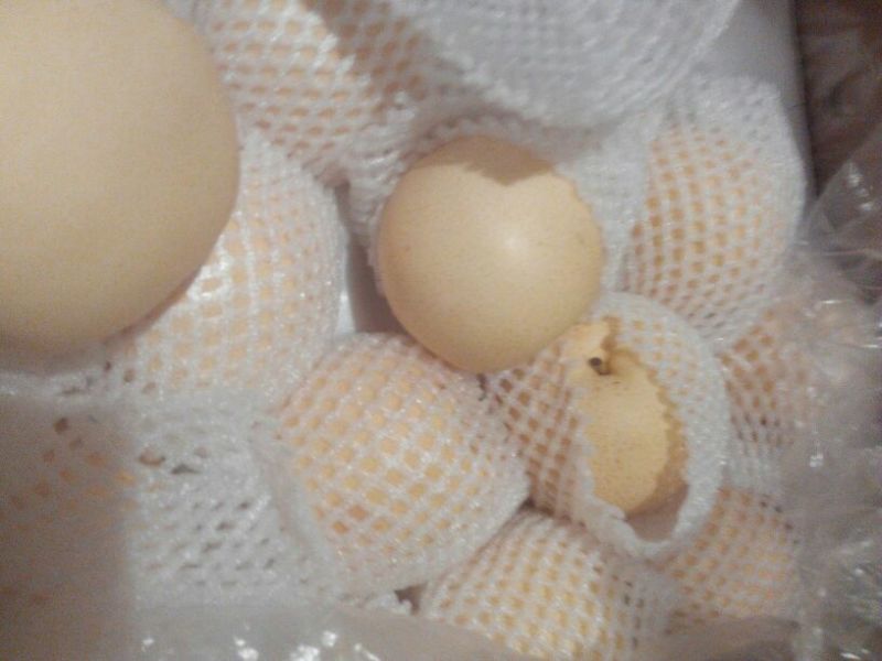 皇冠梨250~300g纸袋