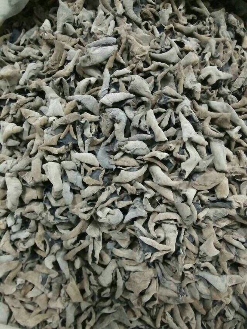 黑木耳一级