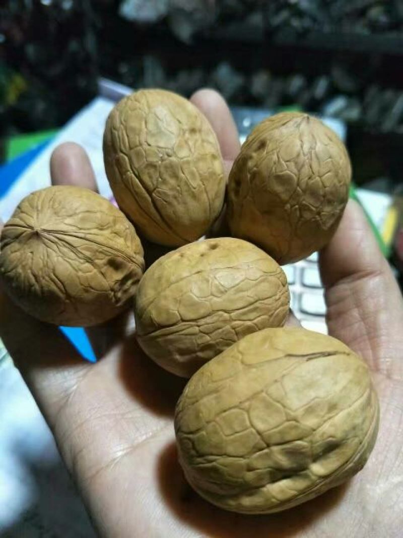 新疆185核桃去皮干