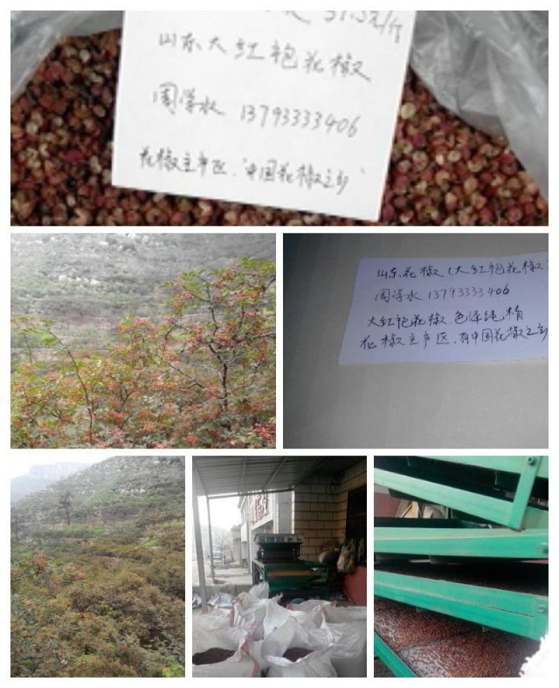 大红袍花椒二级干