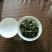 本山茶
