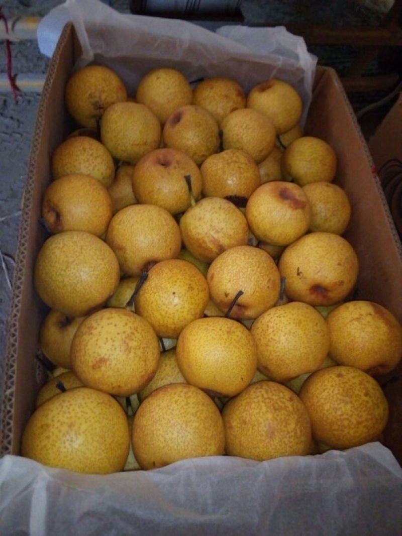 锦丰梨纸箱