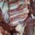 驴肉鲜货