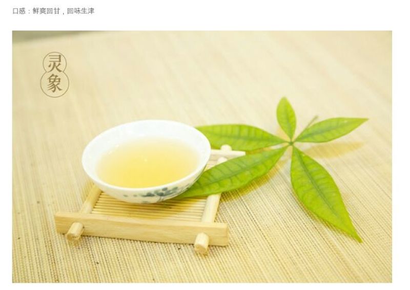 普洱绿茶紧压茶