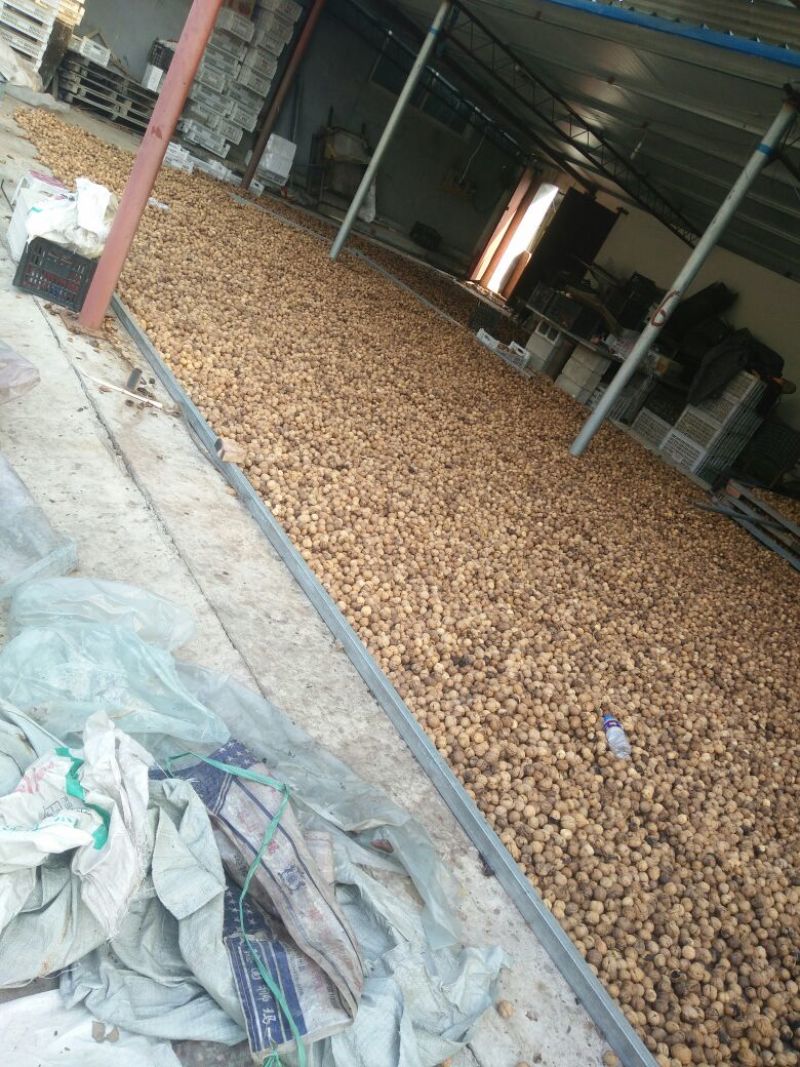 绵核桃30mm以上去皮
