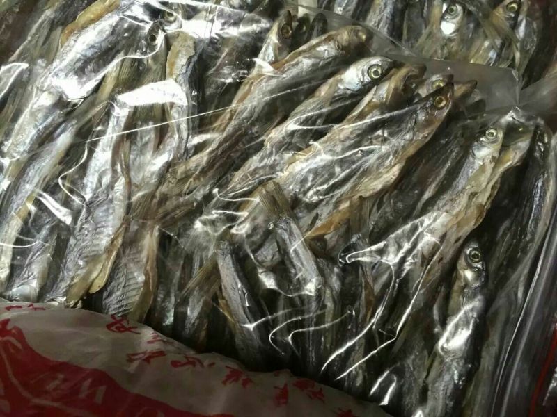 餐条鱼干