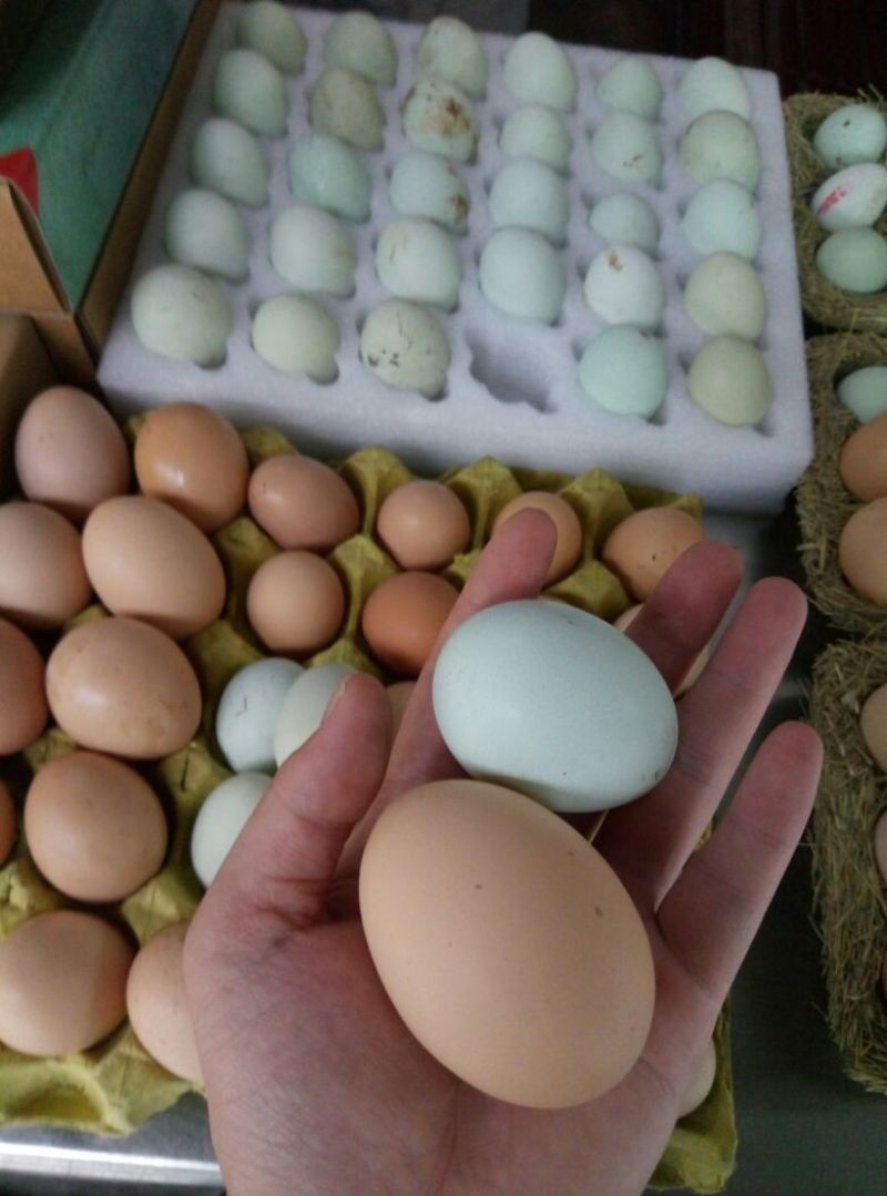 土鸡蛋食用60~75g