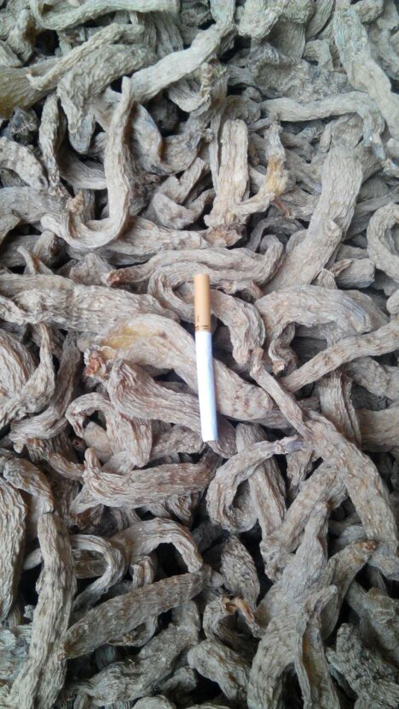天麻23支内每斤