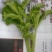 蔬菜基地常年种植专业精品，质量严格