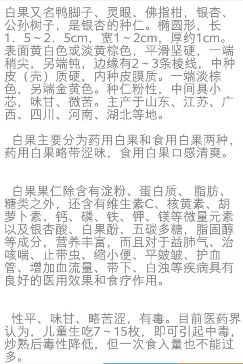 银杏果