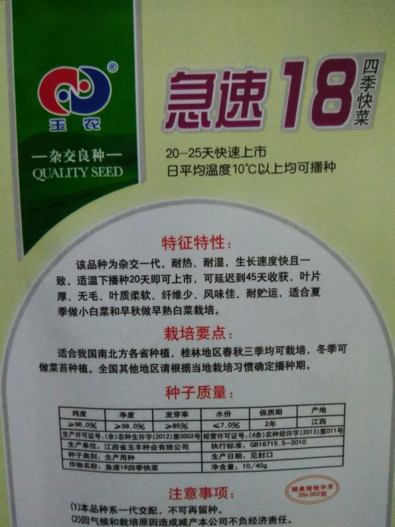 快菜20~25cm