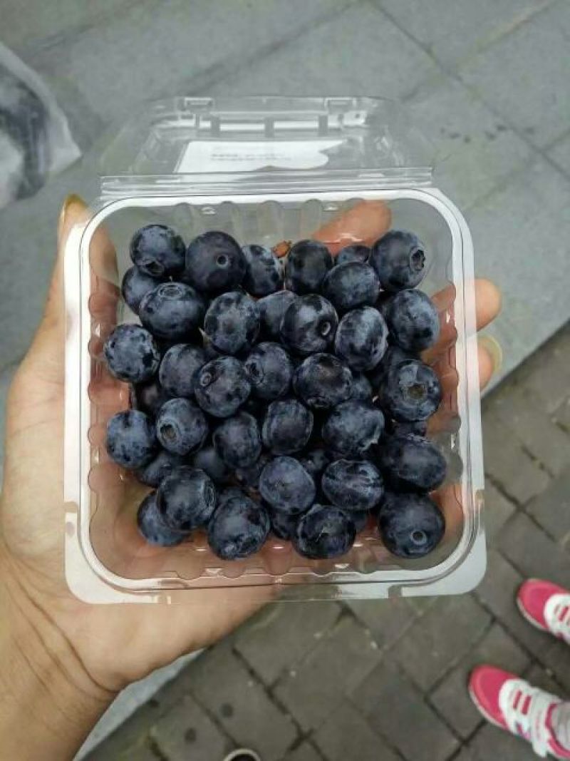 蓝莓2~4mm以上