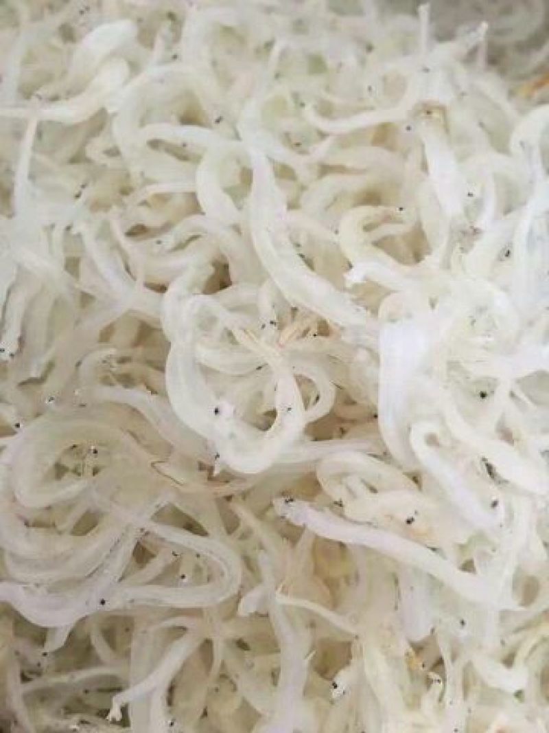 银鱼干