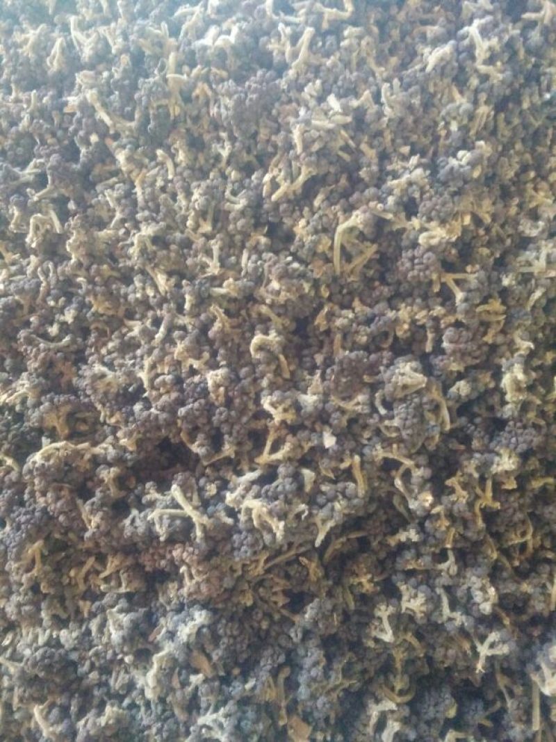 吴茱萸中花统
