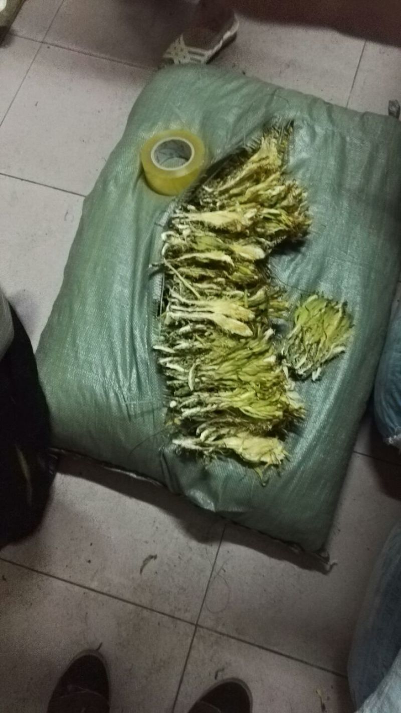 霸王花精选霸王花剑花足干一年四季有货供应不含运费