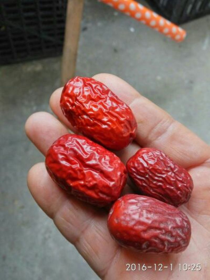 红枣