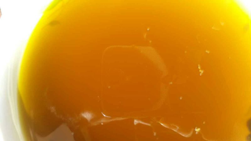油菜籽1