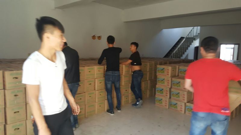 苹果梨纸箱
