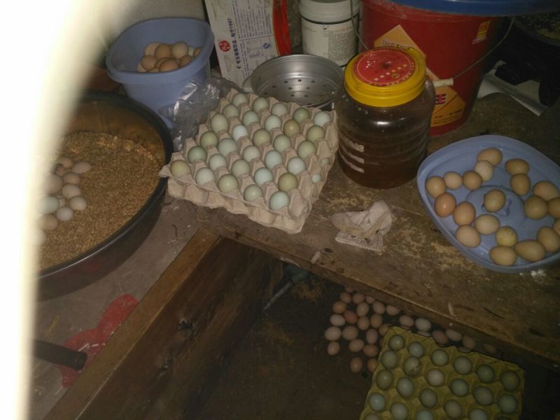 绿壳鸡蛋食用50g以下