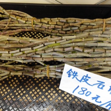 铁皮石斛盆