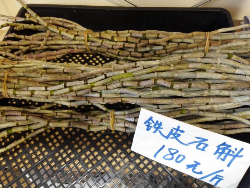 铁皮石斛盆