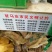长白大葱30~40cm毛葱2cm左右