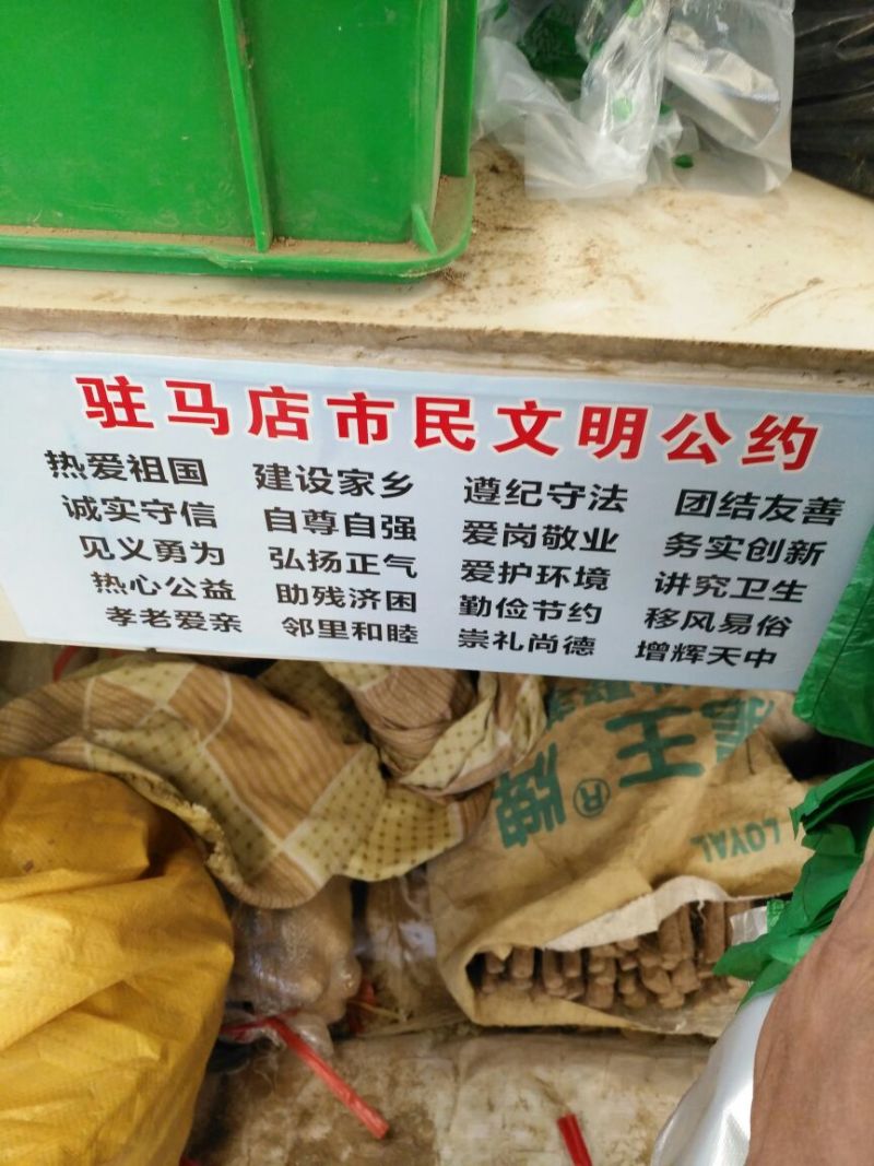 长白大葱30~40cm毛葱2cm左右