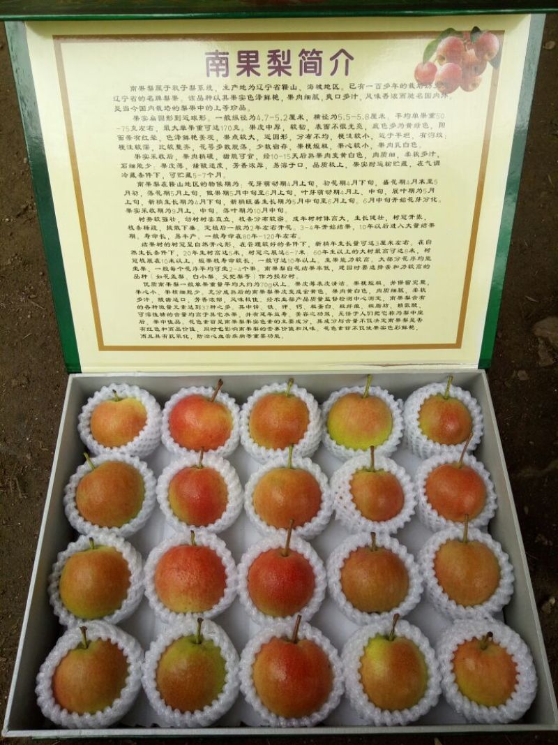 南果梨光果100~150g